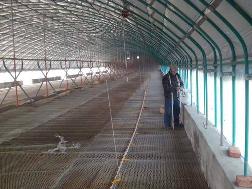 铜陵平菇大棚建造 潍坊三禾农业全国施工与免费设计报价服务